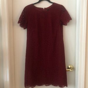 Ann Taylor Maroon Lace Shift Dress Short Sleeve